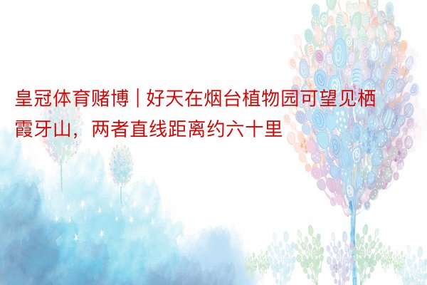 皇冠体育赌博 | 好天在烟台植物园可望见栖霞牙山，两者直线距离约六十里